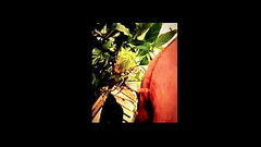 Gross fag smokes ass Thumb